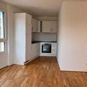Top 2-Zimmer Wohnung mit neuer Küche & Loggia- 9min in die Innenstadt - ab sofort - Photo 2