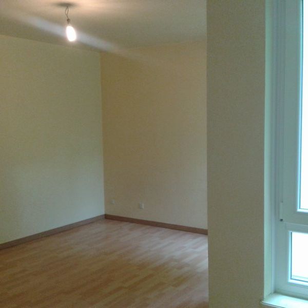 Location Appartement 1 pièce 28m² SARREGUEMINES 57200 - Photo 1