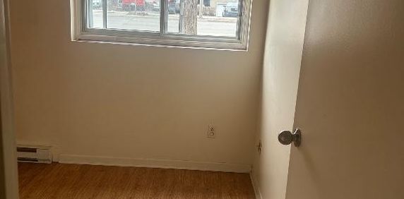 Laval 4 1/2 - Photo 2