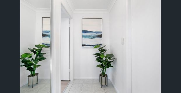 Newly Renovated 1-Bedroom Apartment in Burleigh Waters! - Photo 1