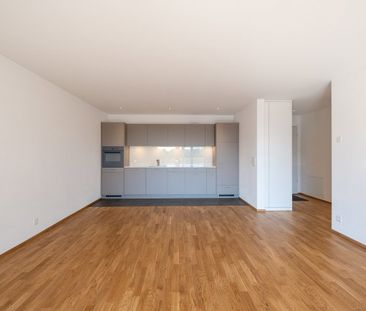 2.5 Zimmer, EG - Photo 3