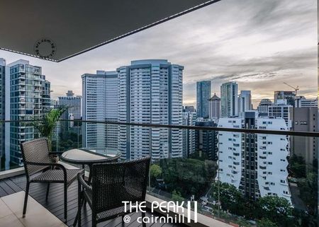 The Peak @ Cairnhill II (D9), Apartment - For Rent - Photo 3