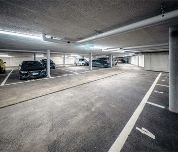 2.5 Local – Residenza Pregassona 339 - Photo 2