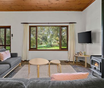 Hidden Treasure - 28 to 90 Days Only - Photo 2