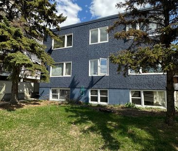 Cozy & Bright 1 Bed 1 Bath Apartment*Heat & Water Included*Pet Friendly! | 10923 124 Street, Edmonton - Photo 1