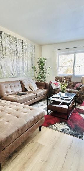 Appartement 4 ½ à louer Lévis juillet 2026 - Photo 1