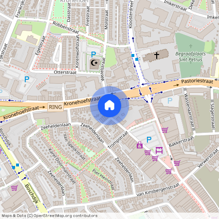 Hemelrijken, 5612 GP, van Brakelstraat, Eindhoven