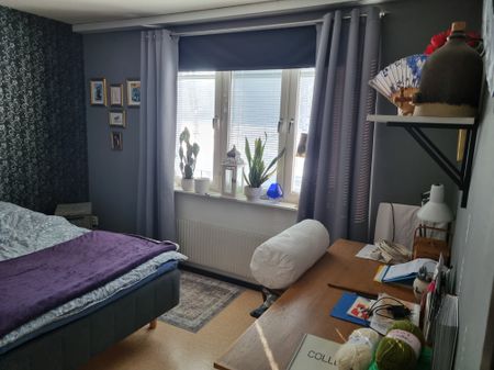 Drottninggatan, Vänersborg - Photo 4