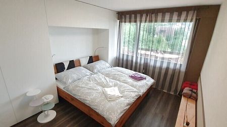 3½ Zimmer-Wohnung in Hinwil (ZH), möbliert, auf Zeit - Foto 5