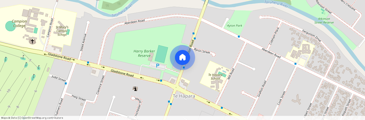 113 Lytton Road, Riverdale, Palmerston North City