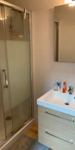 Location Appartement 1 pièce 16m² - Photo 4