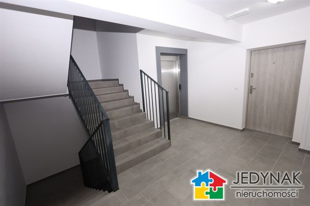 Czarnowąsy, Opole - Фото 1