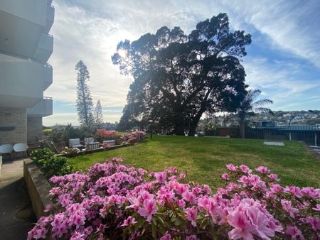 Darling Point - Photo 2