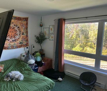 Appartement 5 1/2 - Photo 3