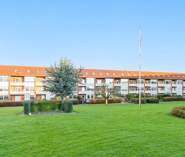 Afd. 11 Drosselhaven - Photo 1