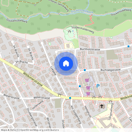 8053, Zürich, Buchholzstrasse, 11