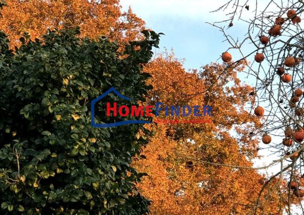 Moradia T3 em Viana do Castelo