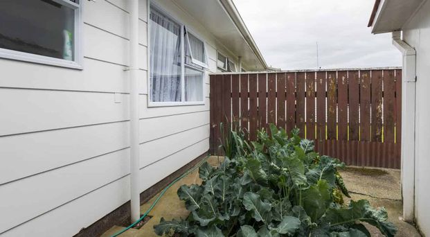 24 Monrad Street, Highbury, Palmerston North - Photo 1