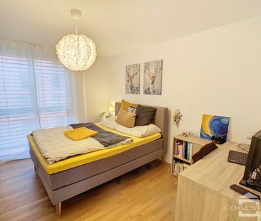 Appartements à quelques pas de Fribourg / Häuser in der Nähe von Fr... - Photo 5