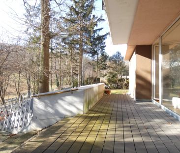 PÖTZLEINSDORF: GROSSZÜGIGE GARTENWOHNUNG MIT SAUNA UND SCHLOSSPARK-BLICK - Foto 6