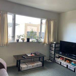 Two bedroom unit in Te Aro - Photo 2