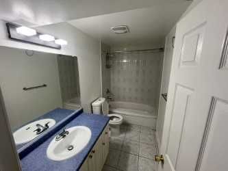 For Lease - 250 Mountainberry Road Unit# Basement, Brampton, Ontario - Photo 5