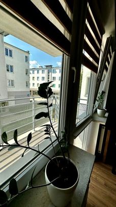 Pokój, ul. Wigilijna - Photo 1