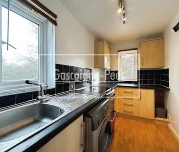 Lychpit, Basingstoke, RG24 - Photo 3