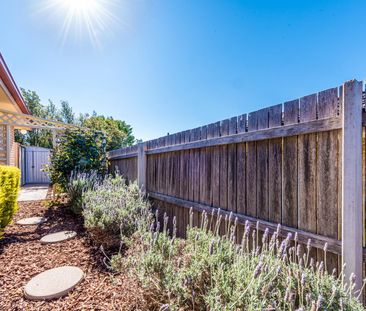 31 Proserpine Circuit, Amaroo ACT 2914 - House For Rent | Domain - Photo 5