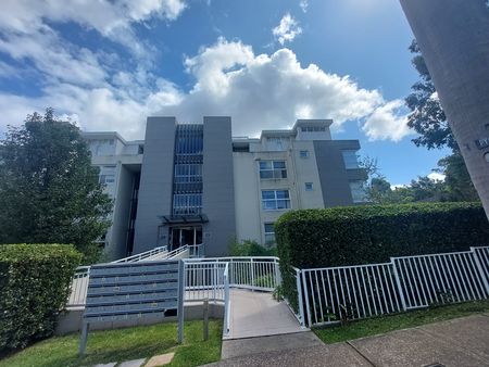 7/33 Dumaresq Street, Gordon NSW 2072 - Apartment For Rent | Domain - Photo 2