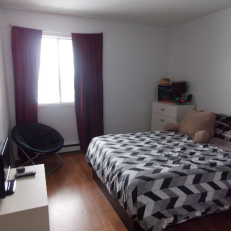 Beau Grand Une Chambre - Photo 1