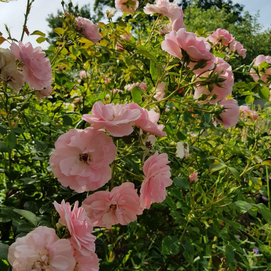 Västergöksvägen, Vällingby - Photo 1