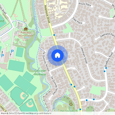 119 Aviemore Drive, Highland Park, Manukau City