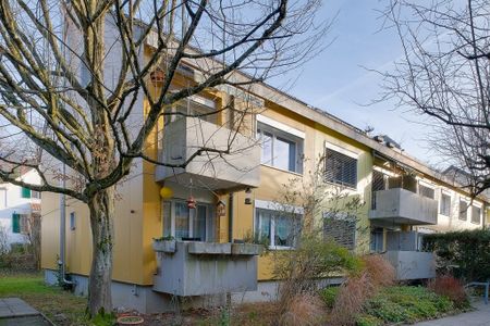 Ruhiges Wohnquartier in Riehen - Photo 5