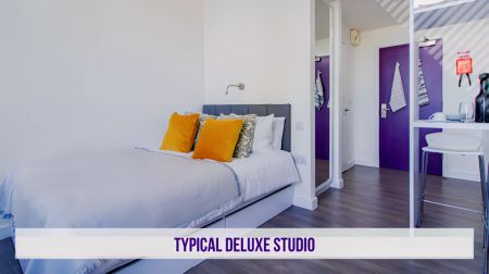 Deluxe Studio - Photo 3
