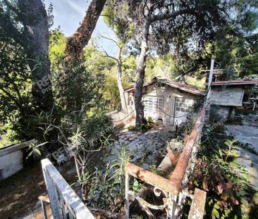 Μονοκατοικία 210 τ.μ. προς ενοικίαση - Photo 6