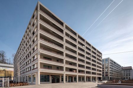 At home in the city, at home in the countryside - Foto 4