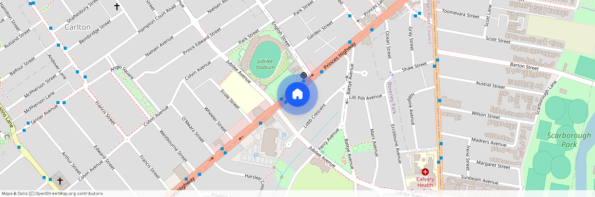 96 Princes Highway, NSW 2217, Beverley Park