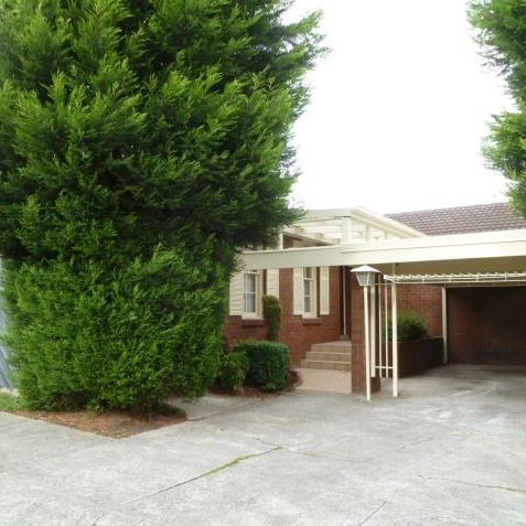 Easy-care living - Photo 1