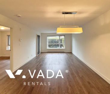 1 Bedroom Apartment For Rent in Burnaby - Photo 3