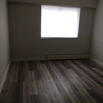 One Bedroom - Photo 3