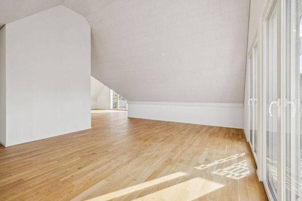 Ihr Wohntraum über den Dächern von Rickenbach - Photo 1