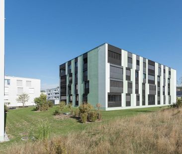 Bright room in modern 3.5-room apartment in Bülach (2-person shared... - Foto 3