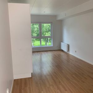 Björkvägen, Morgongåva - Photo 2