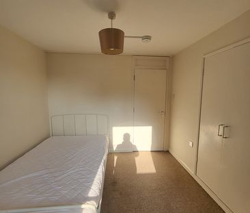 3 bed apartment to rent in Upton Road, Norwich, NR4 - Photo 3