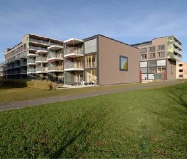 6.5 Zimmer, 143 m², 1. Stock - Foto 5