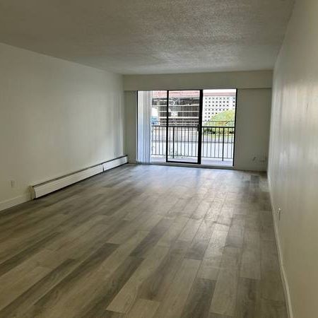 (DPMonline.ca) Updated One Bedroom at the Lexington - Photo 1