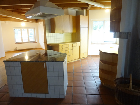 Schöne Wohnung mit Galerie und grossem Garten - Photo 2