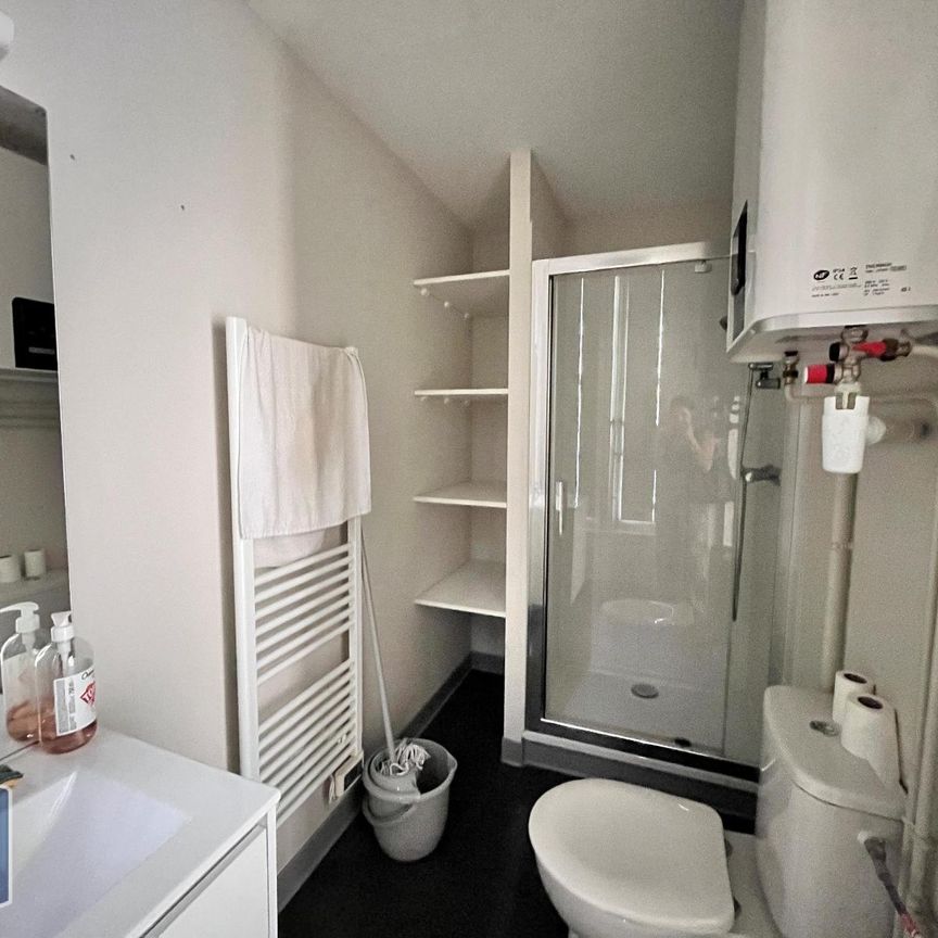 Location Appartement 1 pièce 15m² GRENOBLE 38000 - Photo 1
