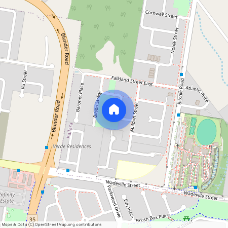 29 Sunbury Street, Qld 4110, Pallara